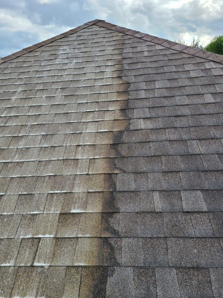 Roof Washing Services in Lexington, KY